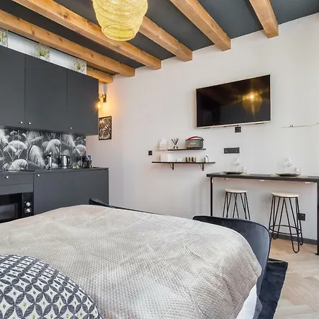 Host Petit Palais Apartment Lyon